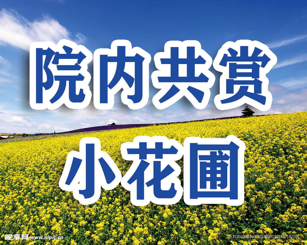 院内共赏小花圃