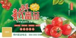 番茄海报