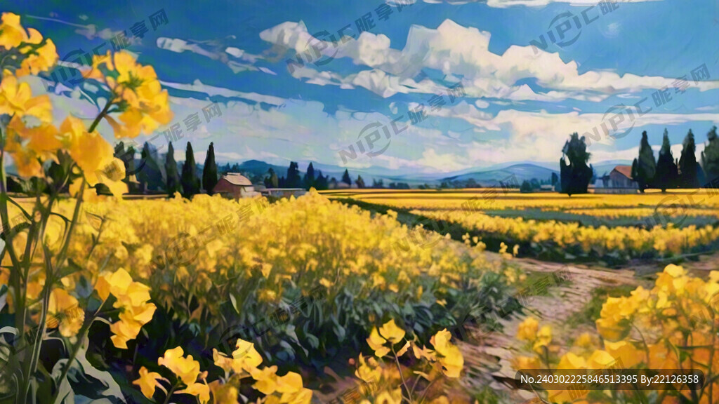 一大块油菜花田地 金黄色