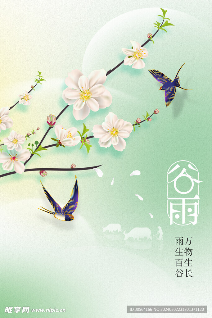 谷雨