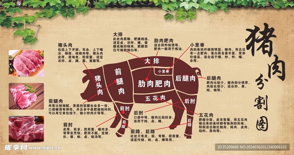 猪肉分割图