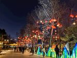 大唐芙蓉园灯展