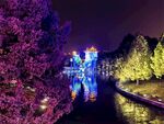 大唐芙蓉园灯展