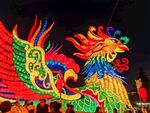 凤凰花灯
