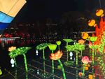 大唐芙蓉园灯展