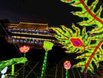 大唐芙蓉园花灯