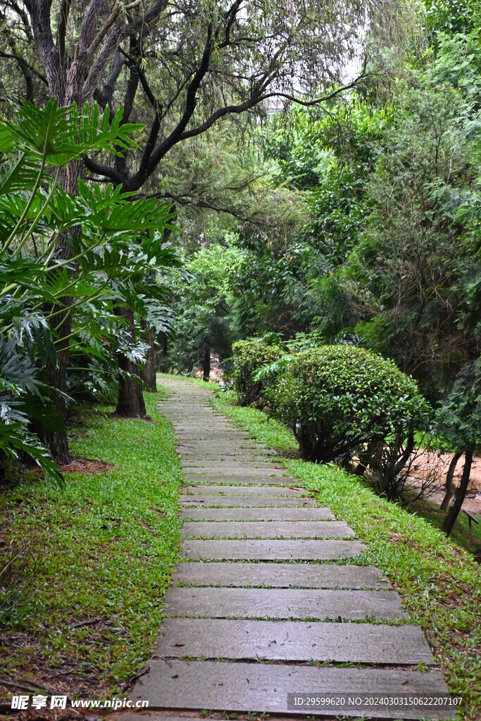 草地森林 