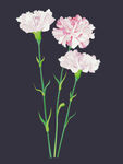 手绘花