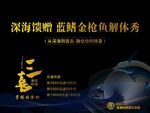 金枪鱼