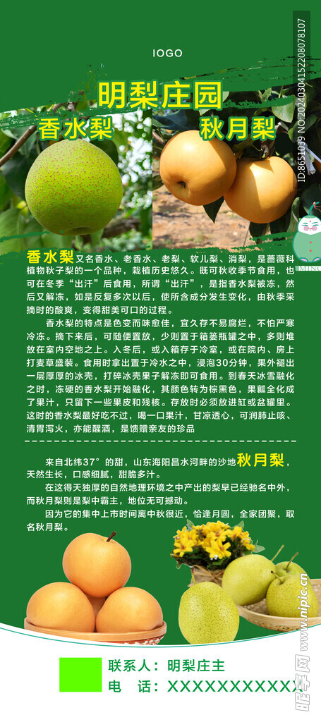 明梨展架