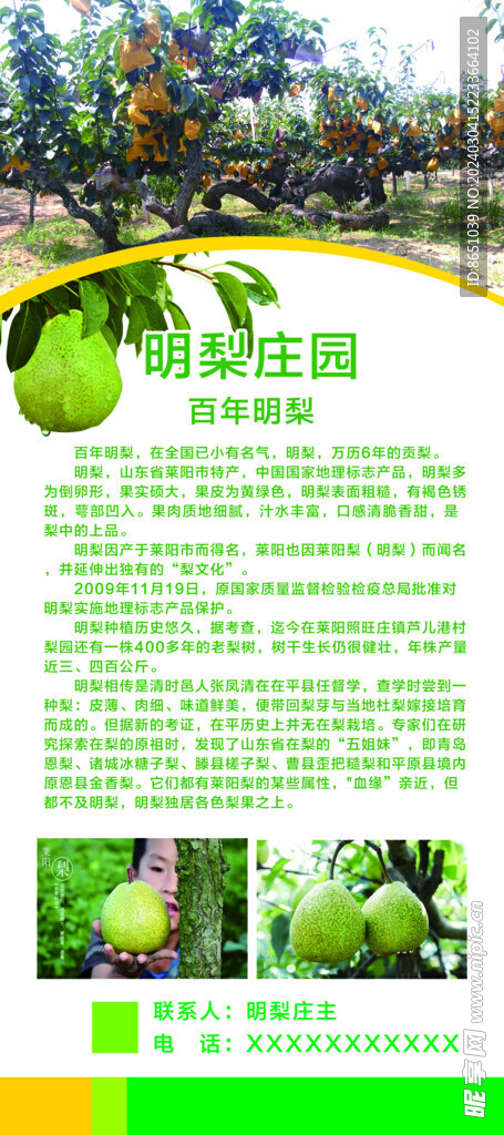 梨展架