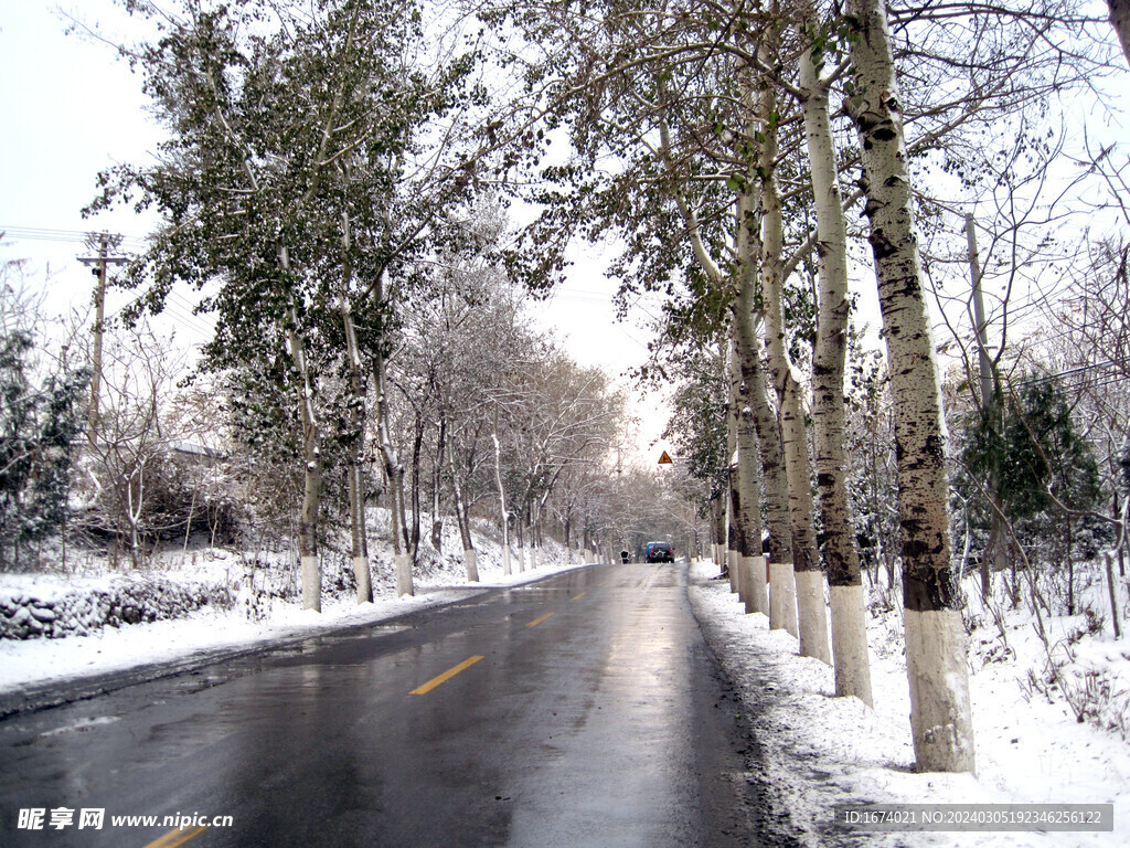 雪中道路