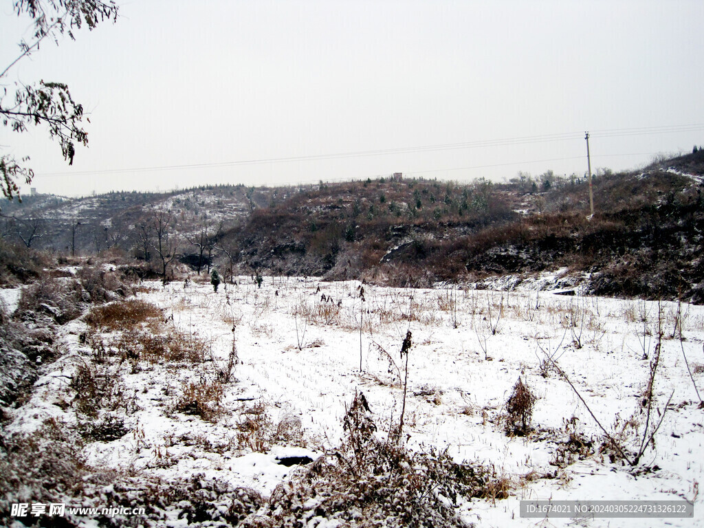 雪中田野