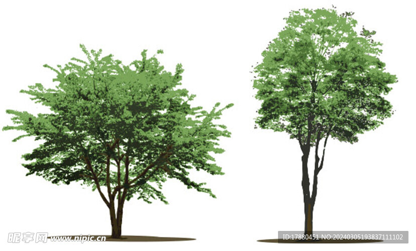 绿色树木元素