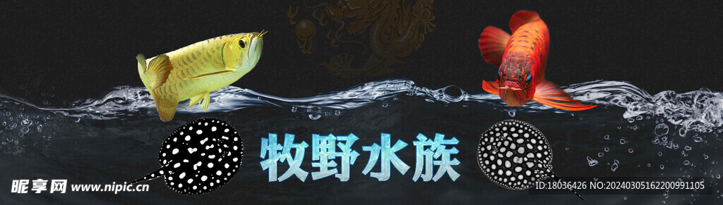 水族观赏鱼店招banner