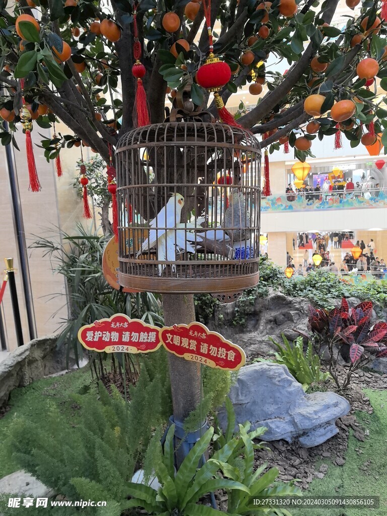 赛格国际购物中心鸟笼