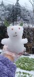 大雪 