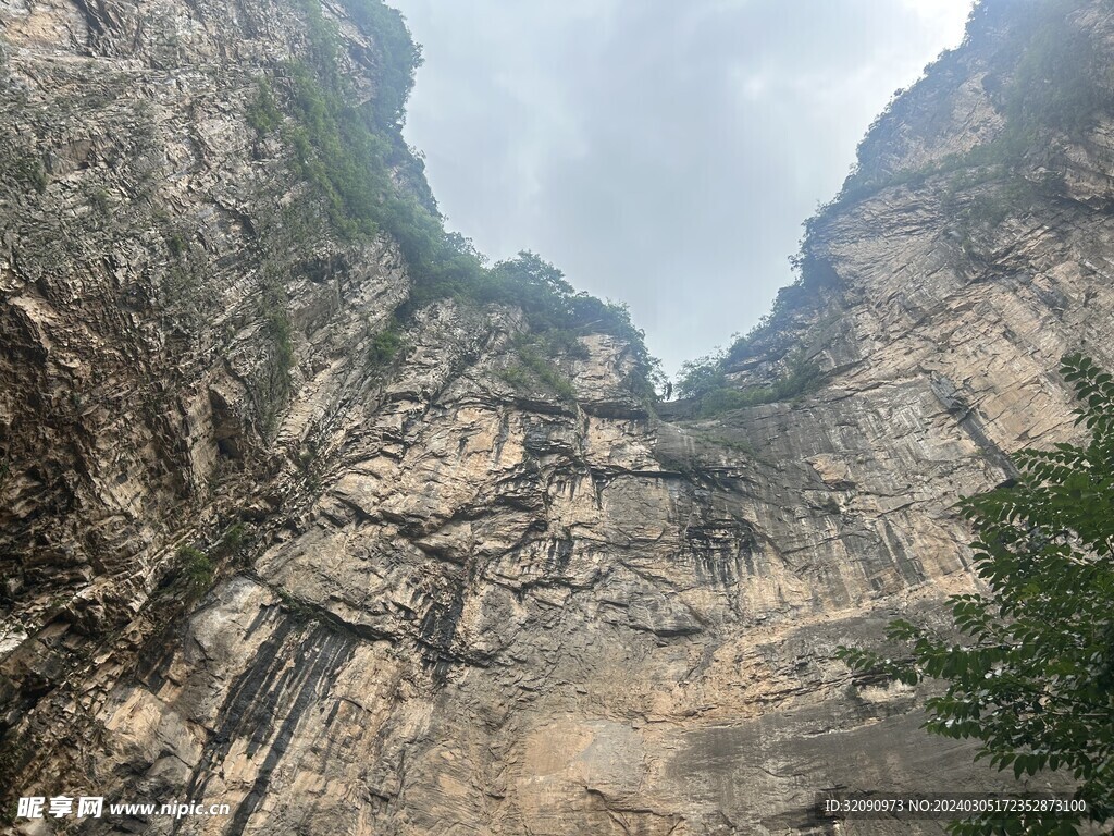 青山
