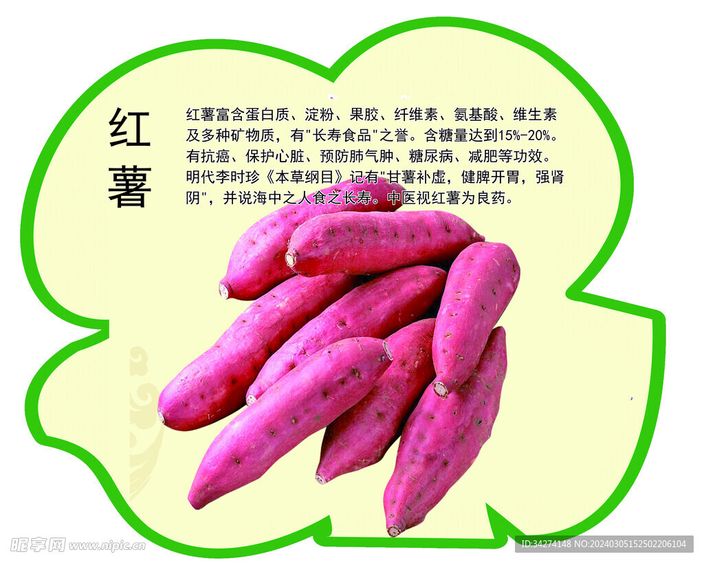 红薯简介