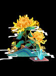 菊花