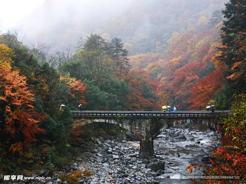 秋雨光雾山