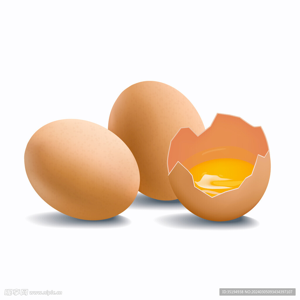 鸡蛋矢量