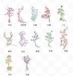 中药彩色线稿