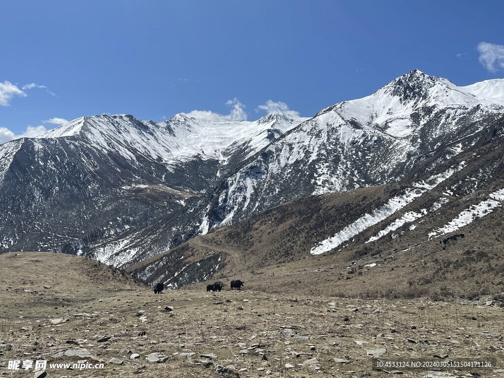 雪山