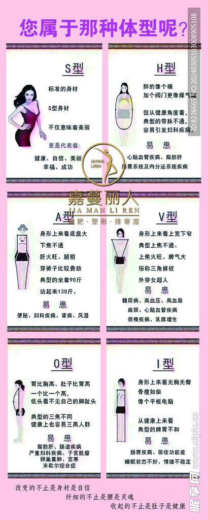 减肥体型体质