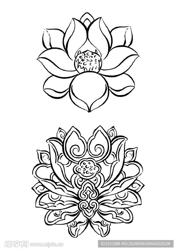 矢量 莲花