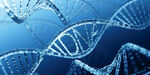 医疗DNA