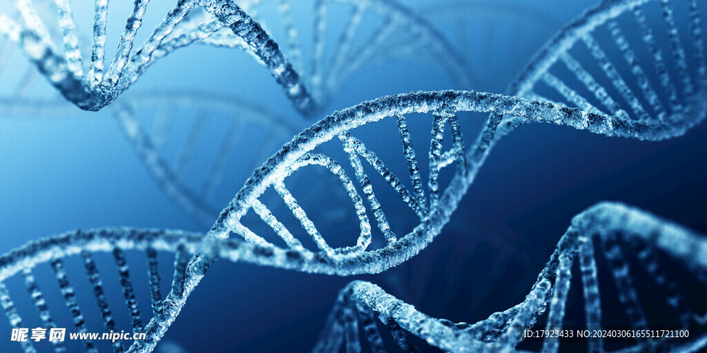 医疗DNA