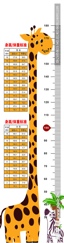 身高图图片 