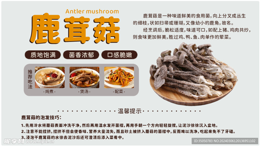 鹿茸菇介绍