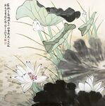 水墨画荷花