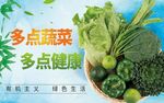 蔬菜