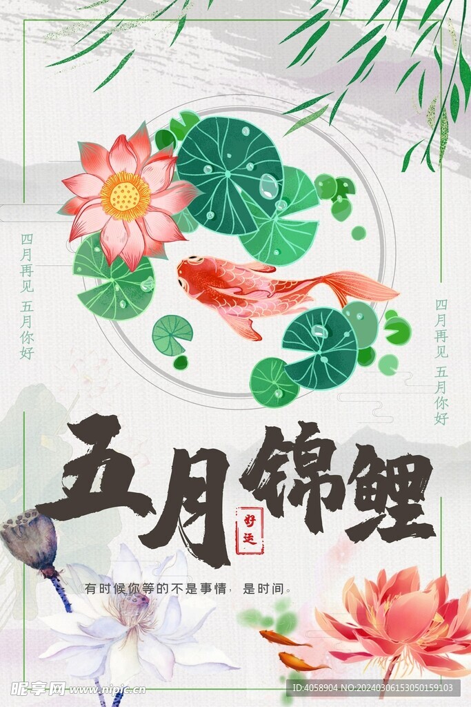 五月锦鲤