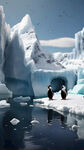 冰山  南极 企鹅  3D效果