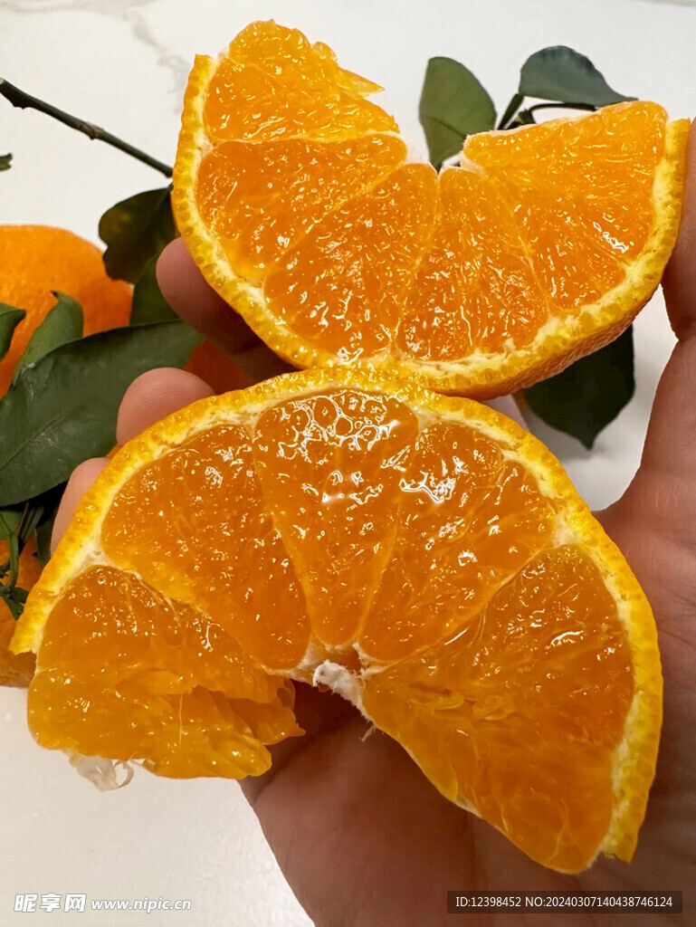柑橘		