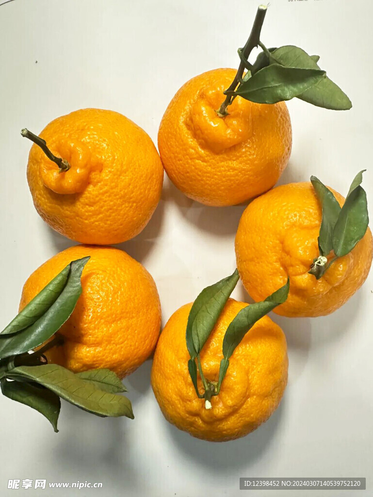 柑橘
