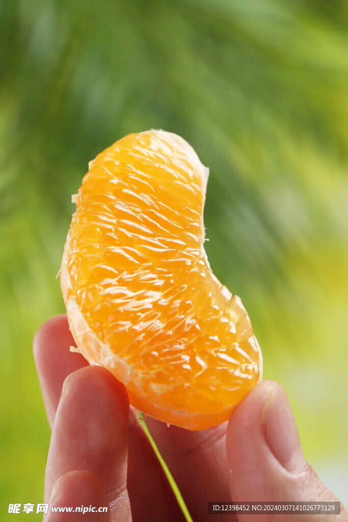 橘子