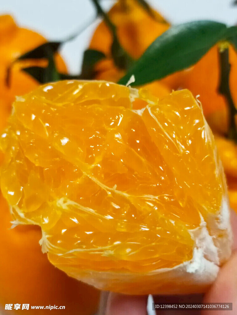 柑橘