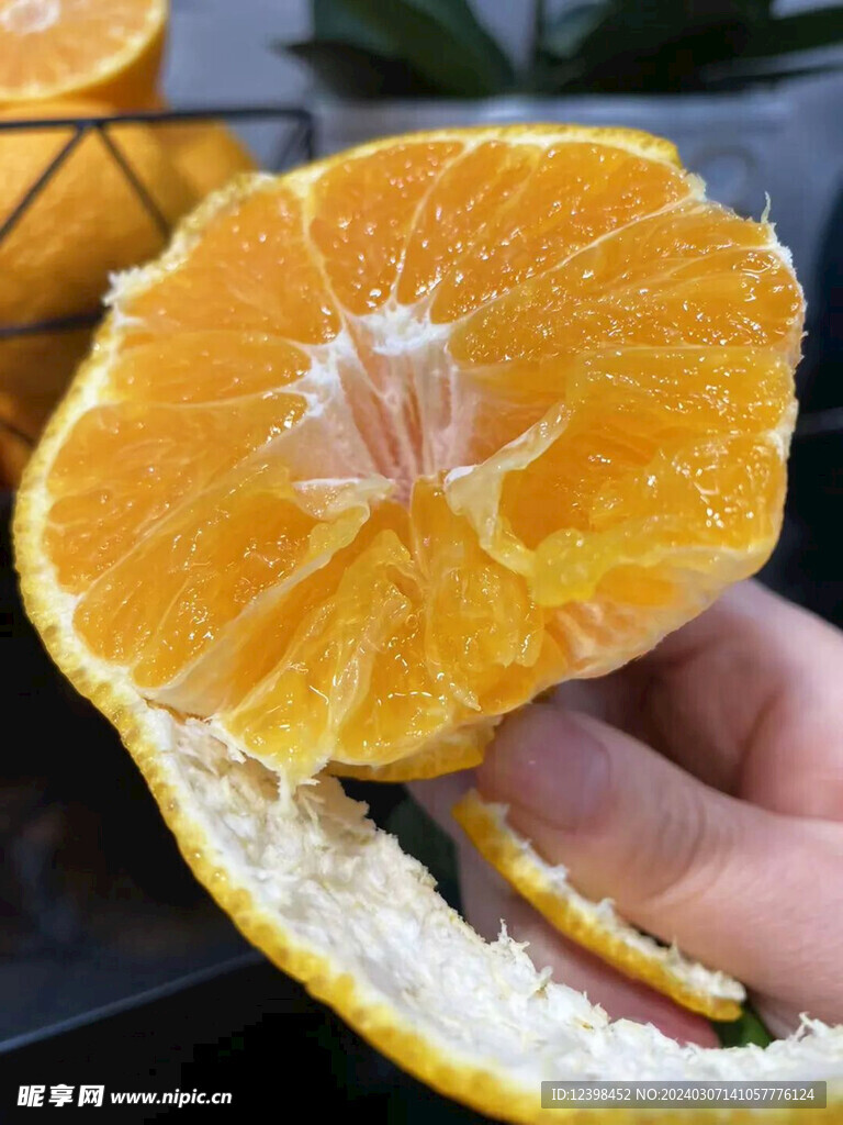 柑橘