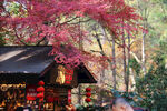 灵隐寺风景