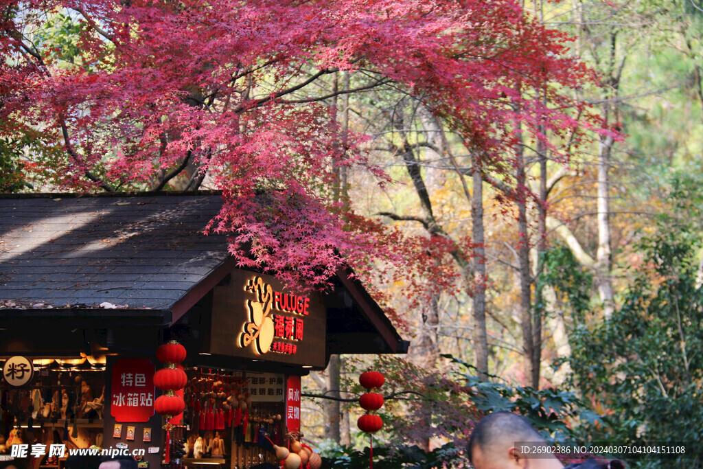 灵隐寺风景