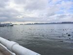 海滨
