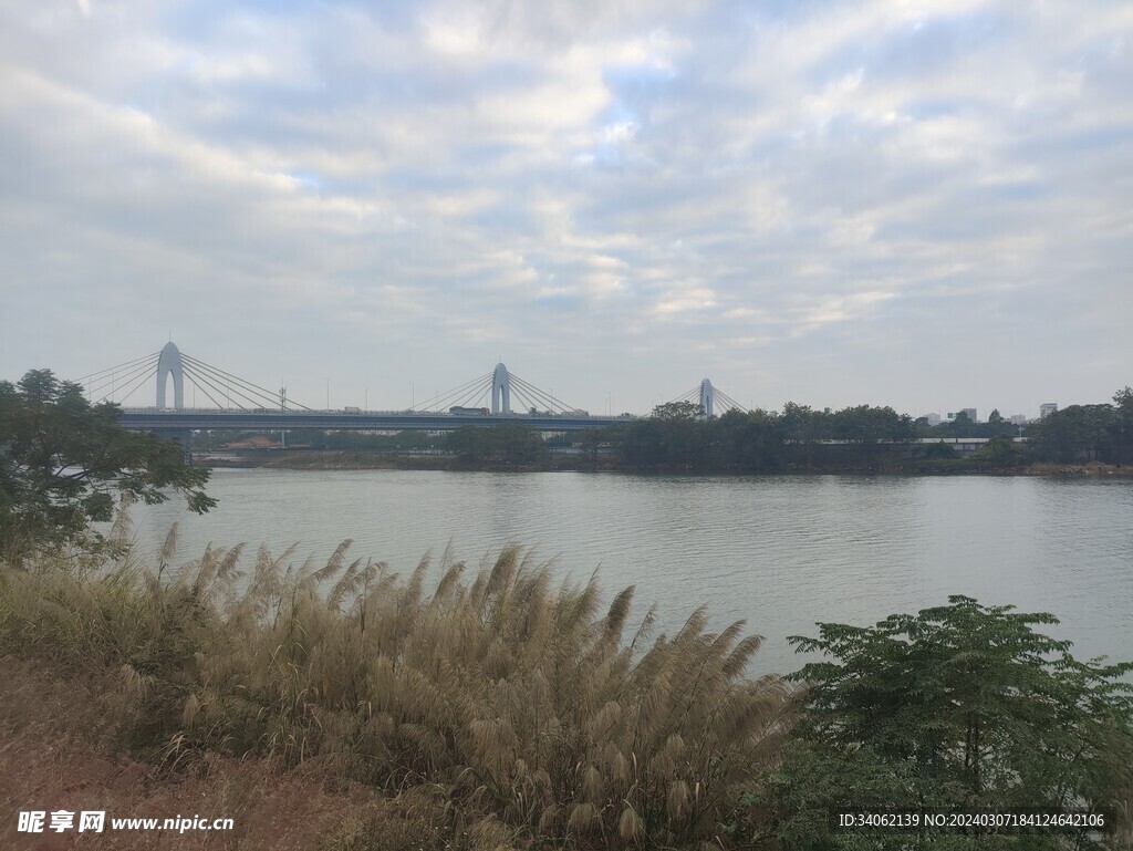 河边风景