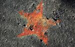星
