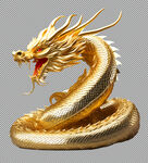 金龙