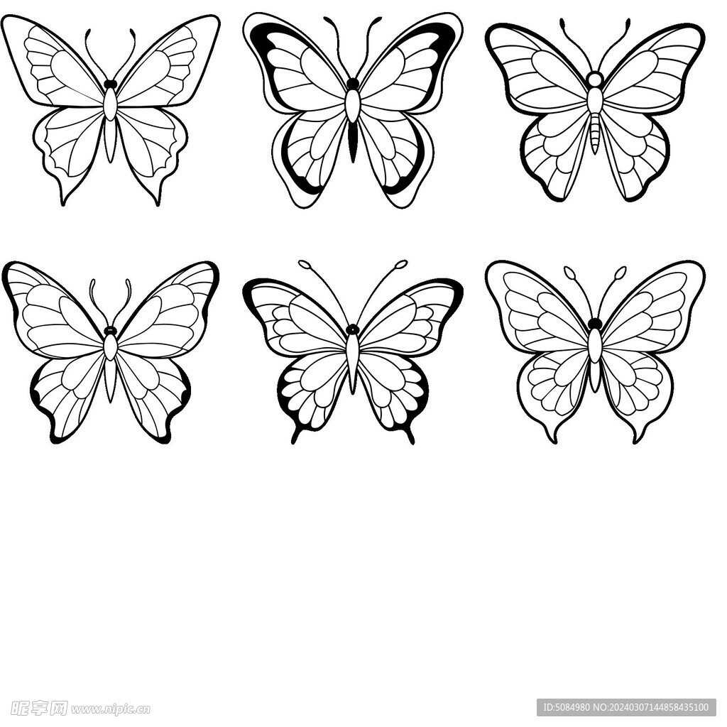蝴蝶的线稿图组图
